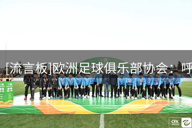 [流言板]欧洲足球俱乐部协会：呼吁FIFA和各方慎重考虑相关股份事宜